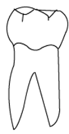 Laboratoire dentaire Uccle